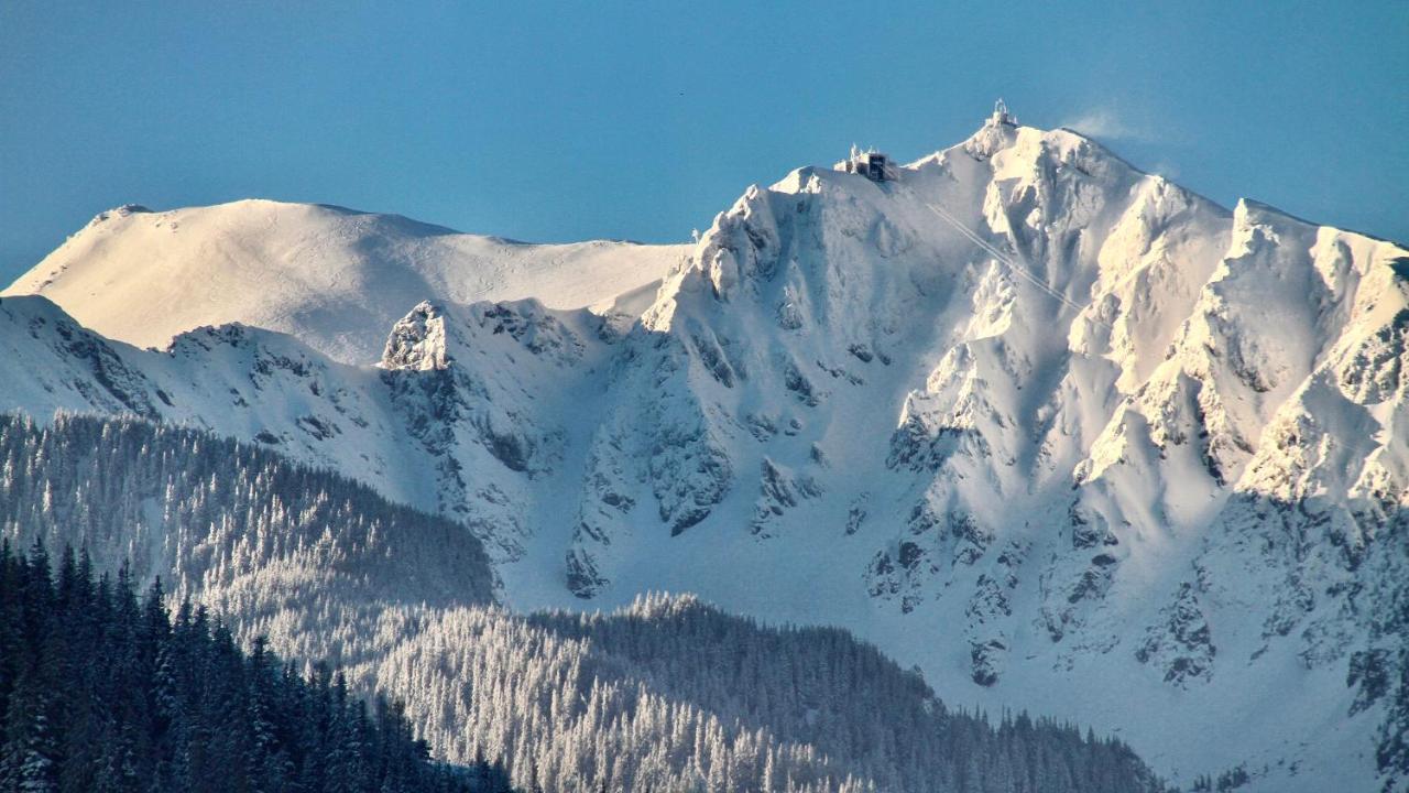 Crusoe Zakopane 아파트 외부 사진